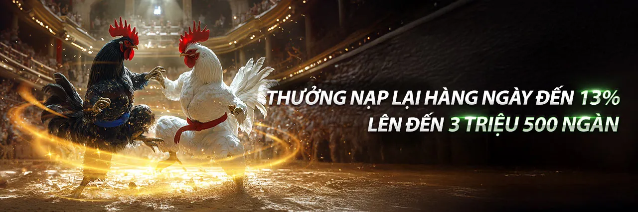 Đá Gà Ngày 17/7 Trực Tiếp